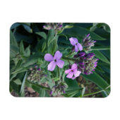 Lila Blumen Magnet (Horizontal)