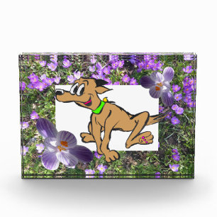 Lila Blumen mit gestreiften Crocuses Foto Block