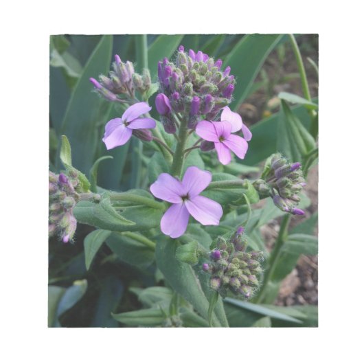 Lila Blumen Notizblock (Vorderseite)