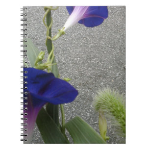 Lila Blumen Notizblock