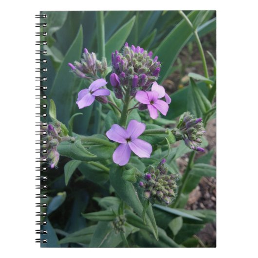 Lila Blumen Notizblock (Vorderseite)