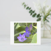 Lila Blumen Postkarte (Stehend Vorderseite)