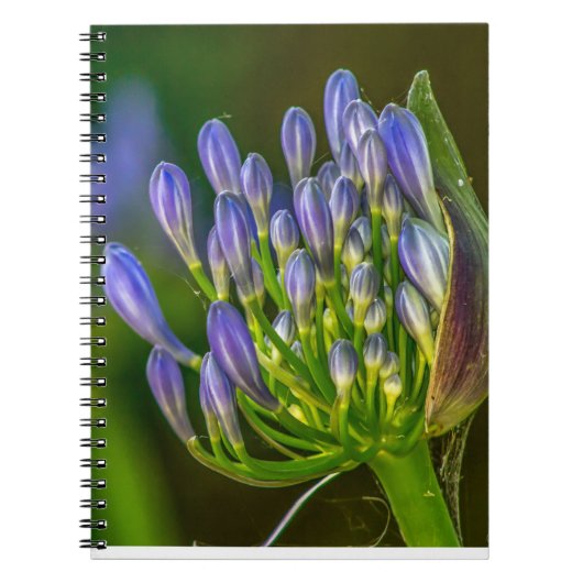 Lila Blumen Spiral Foto Notizbuch Notizblock (Vorderseite)