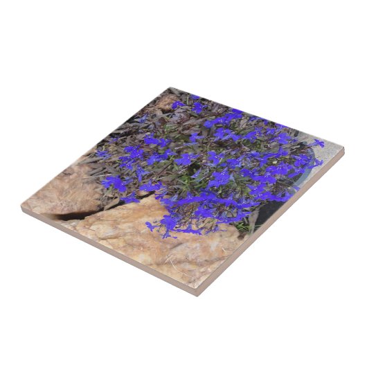 Lila Blumen unter der Felsen-Fliese Fliese (Seite)