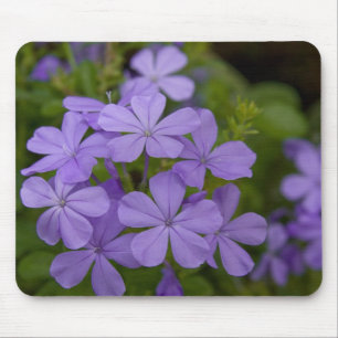 Lila Blumenblätter Mousepad