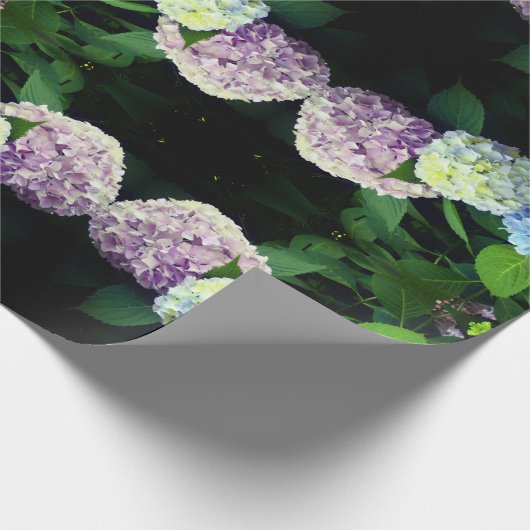 lila blumenblütenblaue Hydrangeas Geschenkpapier (Ecke)