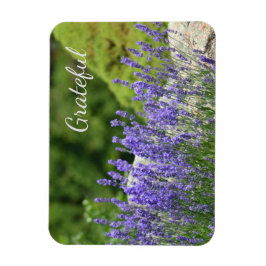 Lila Blumendankbarkeit Magnet