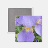 Lila Blumenfotografie Magnet (Vorderseite/Rückseite)