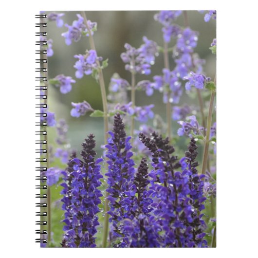 Lila Blumengarten-Notebook Notizblock (Vorderseite)
