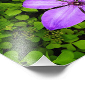 Lila Blumenmuster Fotodruck (Ecke)