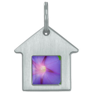 Lila Blumenmuster Tiermarke