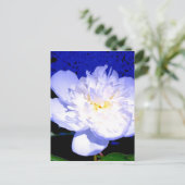 Lila Blumenperle Foto Postkarte (Stehend Vorderseite)