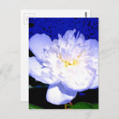 Lila Blumenperle Foto Postkarte (Vorne/Hinten)