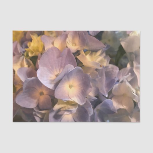 Lila BlumenSeidenpapier Seidenpapier (Vorderseite)