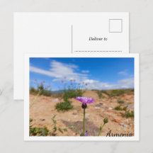 Lila Blüte Armeniens