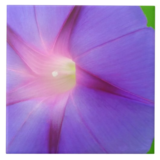 Lila Blüte Fliese (Vorderseite)