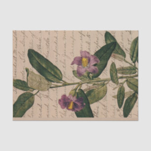Lila-Blüten-Ephemere Seidenpapier