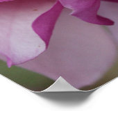 Lila Blüten Poster (Ecke)