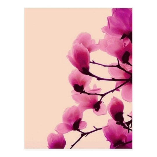 Lila Blüten Postkarte