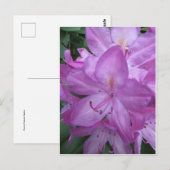 Lila Blüten Postkarte (Vorne/Hinten)