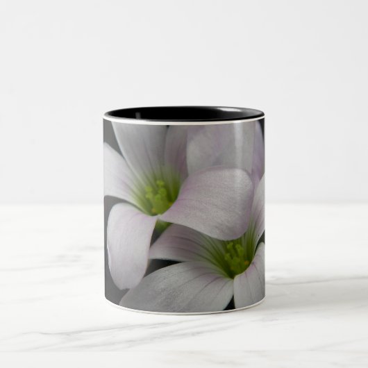 Lila Blüten-Tasse Zweifarbige Tasse (Mittel)