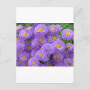 Lila Blütenmuster Postkarte