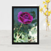 Lila Blütenrose Karte (Gelbe Blume)