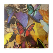 lila borange-farbiger tropischer Schmetterling Fliese (Vorderseite)