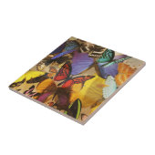 lila borange-farbiger tropischer Schmetterling Fliese (Seite)