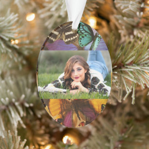 lila borange-farbiger tropischer Schmetterling Ornament