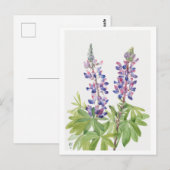 Lila botanische Lupine Postkarte (Vorne/Hinten)