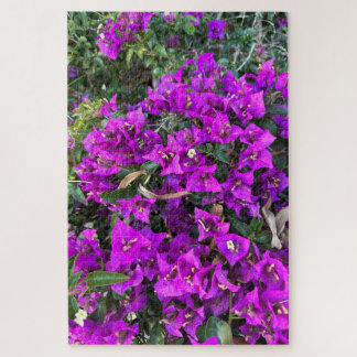 Lila Bougainvillea, Oakland Puzzle