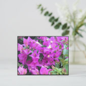 Lila Bougainvillea Postkarte (Stehend Vorderseite)