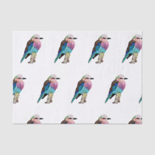 Lila Breasted Rollen-Vogel Seidenpapier
