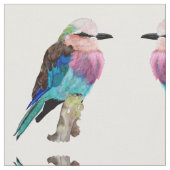 Lila Breasted Rollen-Vogel Stoff (Nahaufnahme)