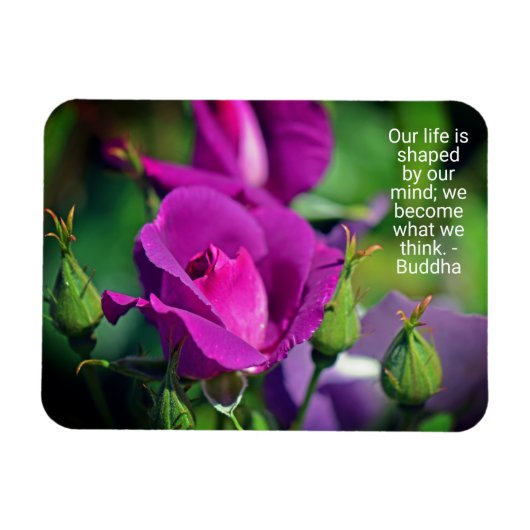 Lila Budgetierung Rose Motivierend Kostenvoranschl Magnet (Horizontal)