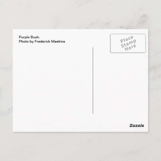 Lila Bush Postkarte (Rückseite)