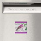 Lila Butterfly Bush Welcome Magnet (In Situ (Geschirrspüler))
