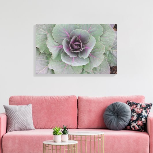 Lila Cabbage Wrapped Canvas Leinwanddruck (Insitu (Wohnzimmer))