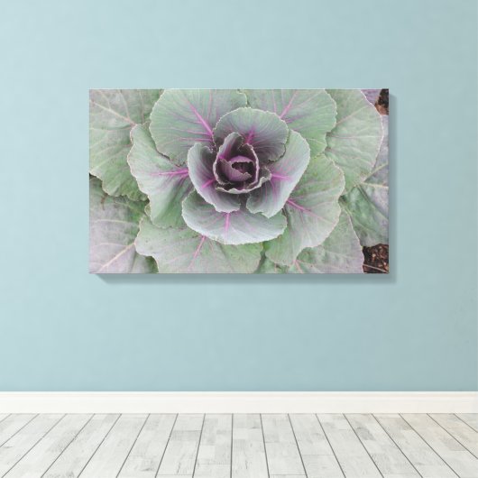 Lila Cabbage Wrapped Canvas Leinwanddruck (Insitu (Holzboden))