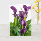 Lila Calla-Lilie Karte (Gelbe Blume)