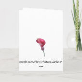 Lila Calla-Lilien-Karte Karte (Rückseite)