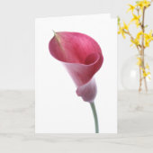 Lila Calla-Lilien-Karte Karte (Gelbe Blume)