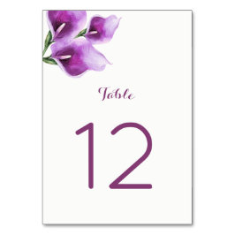 Lila Calla Lily Tischnummer Cards