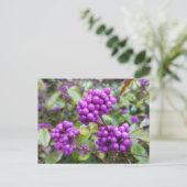 Lila Callicarpa DIY Postkarte (Stehend Vorderseite)