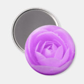 Lila Camellia Magnet (Vorderseite/Rückseite)