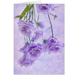Lila Campanella Blume Makro-Karte