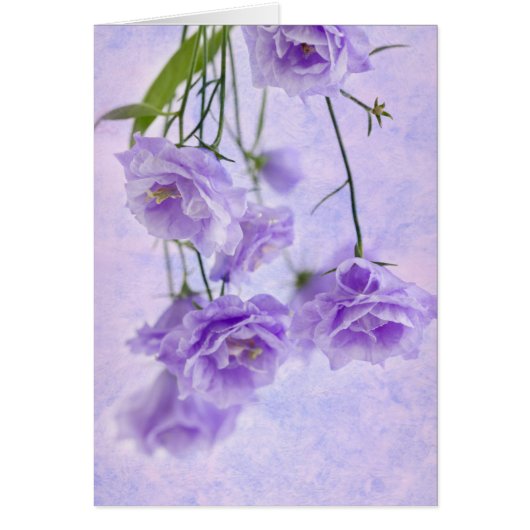 Lila Campanella Blume Makro-Karte (Vorne)
