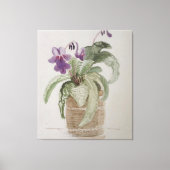 Lila Cape Primrose Wasserfarben Canvas Print Leinwanddruck (Vorderseite)