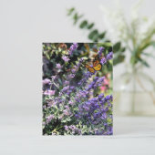 Lila Catmint-Blume mit Butterfly Postkarte (Stehend Vorderseite)